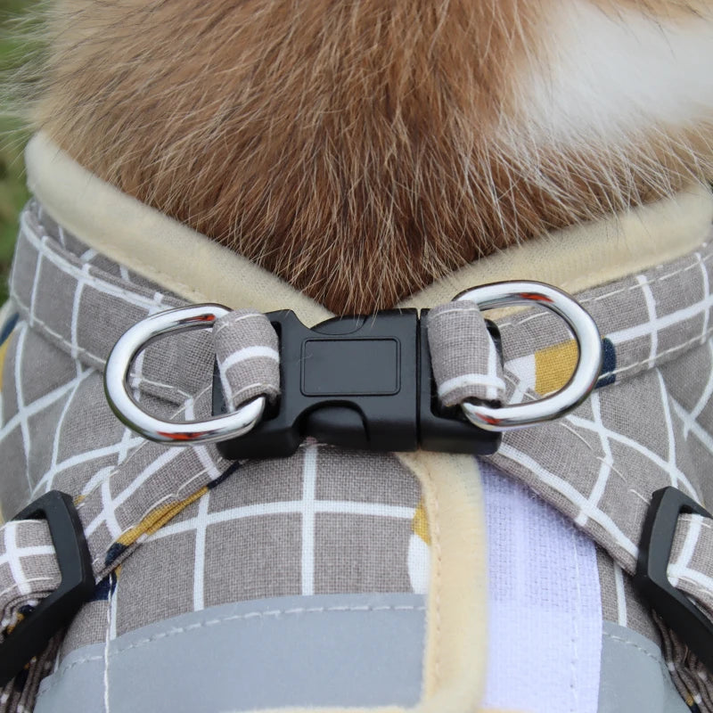 Tuigje honden met reflecterende strepen – Veilig op pad
