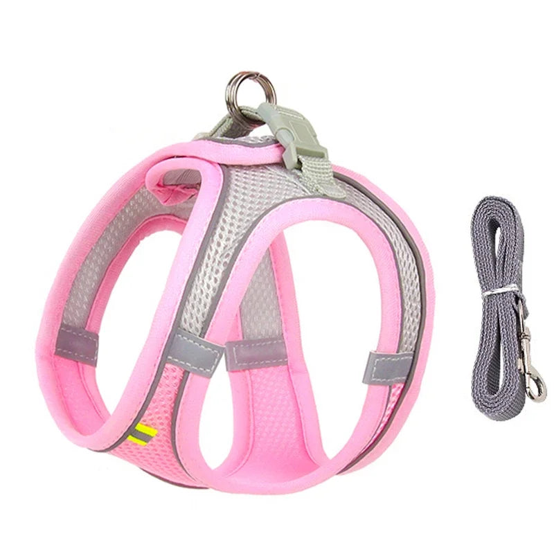 Tuigje voor sportieve honden – Flexibel en licht