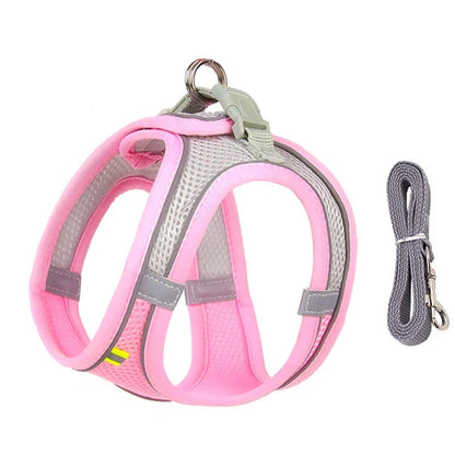 Tuigje voor sportieve honden – Flexibel en licht