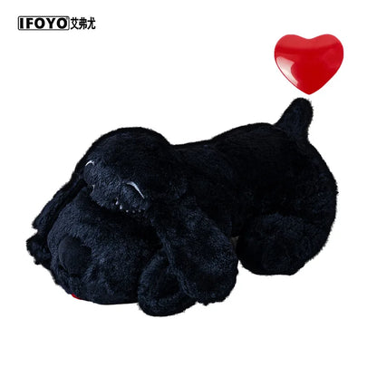 Cadeaubox hond – Ideaal voor elke gelegenheid