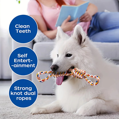 DIY cadeau voor hond – Zelfgemaakt en liefdevol