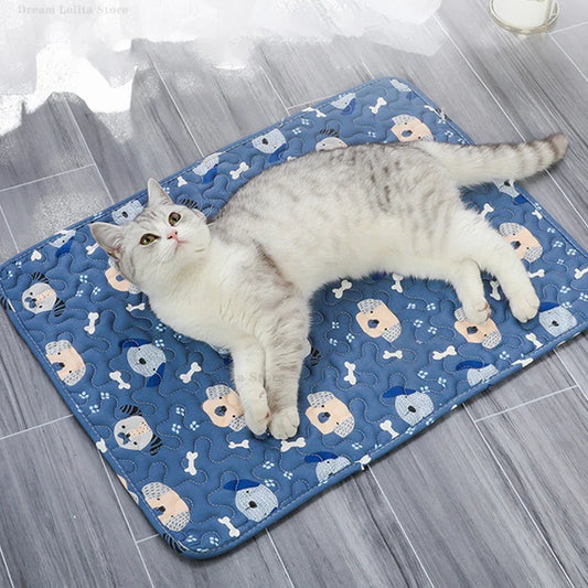 Grote kattenmand Action – Comfort en ruimte in één