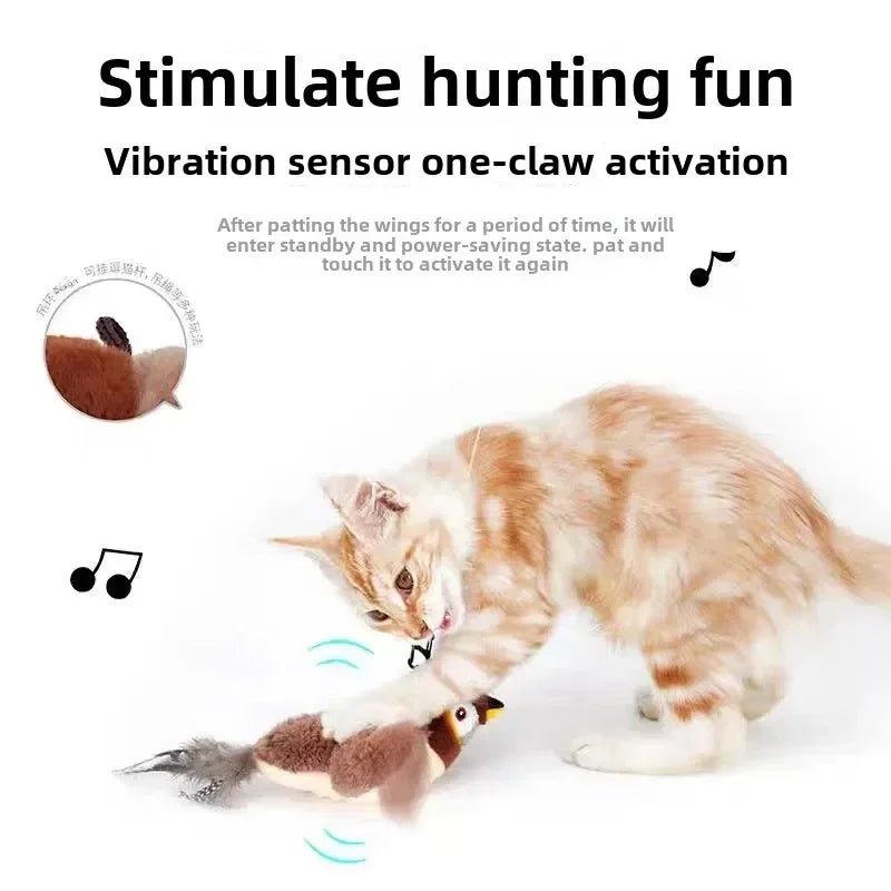 Kattenspeeltjes met elastiek – Bewegend plezier