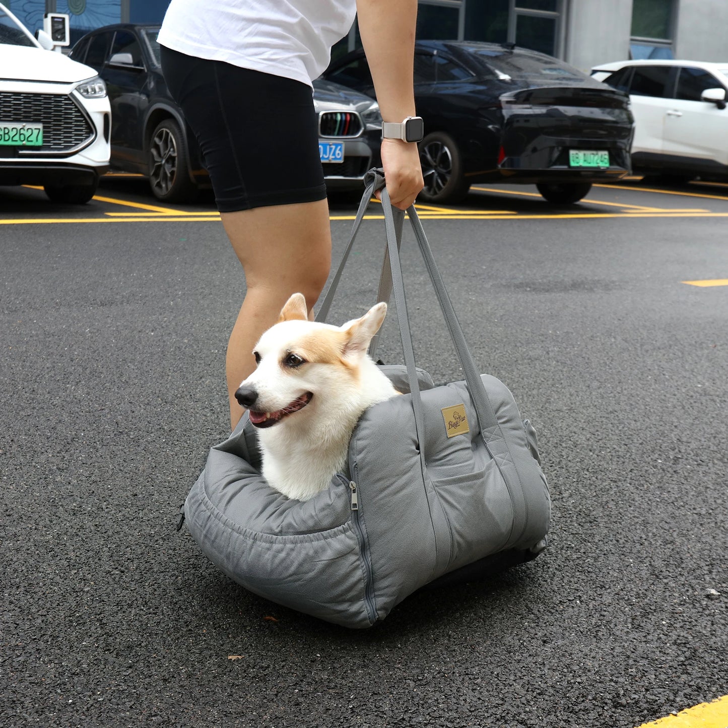 Verjaardag hond met cadeaubox – Compleet feestpakket
