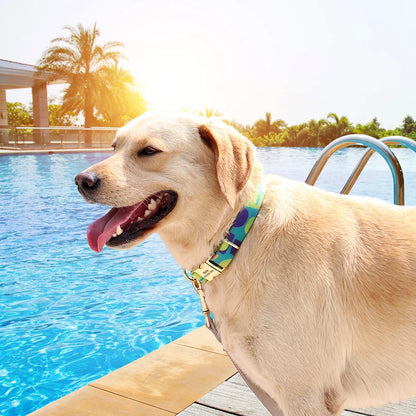 Tuigje hond met reflecterende elementen – Voor avondwandelingen