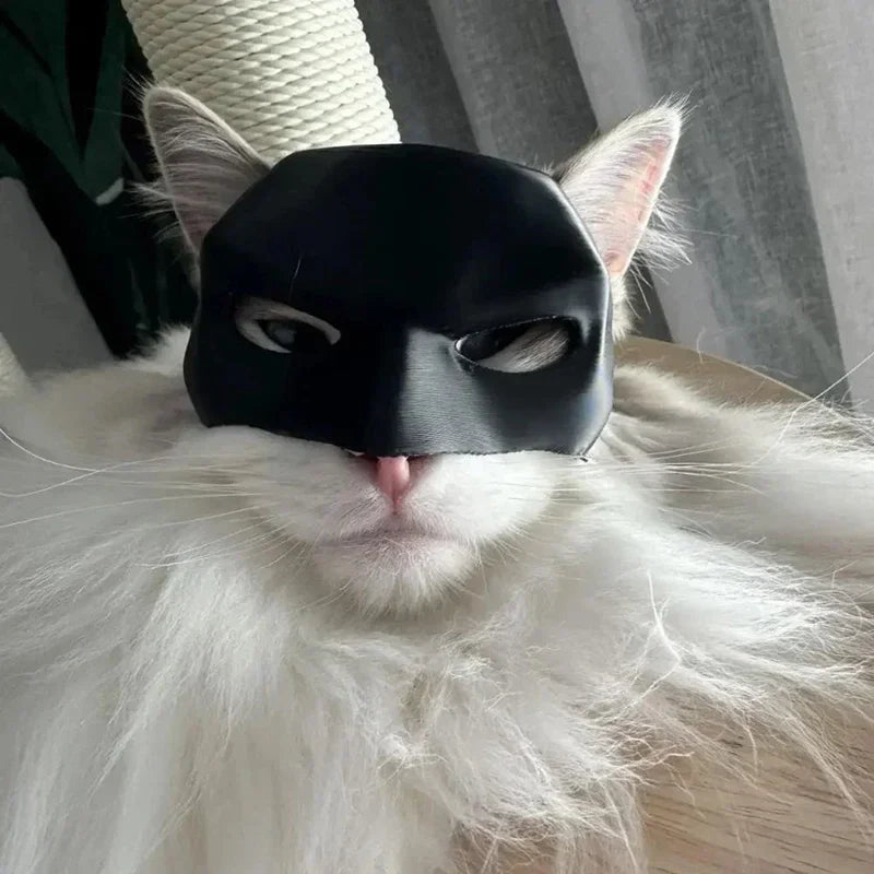 Speelmuis met geluid – Katten zijn er dol op