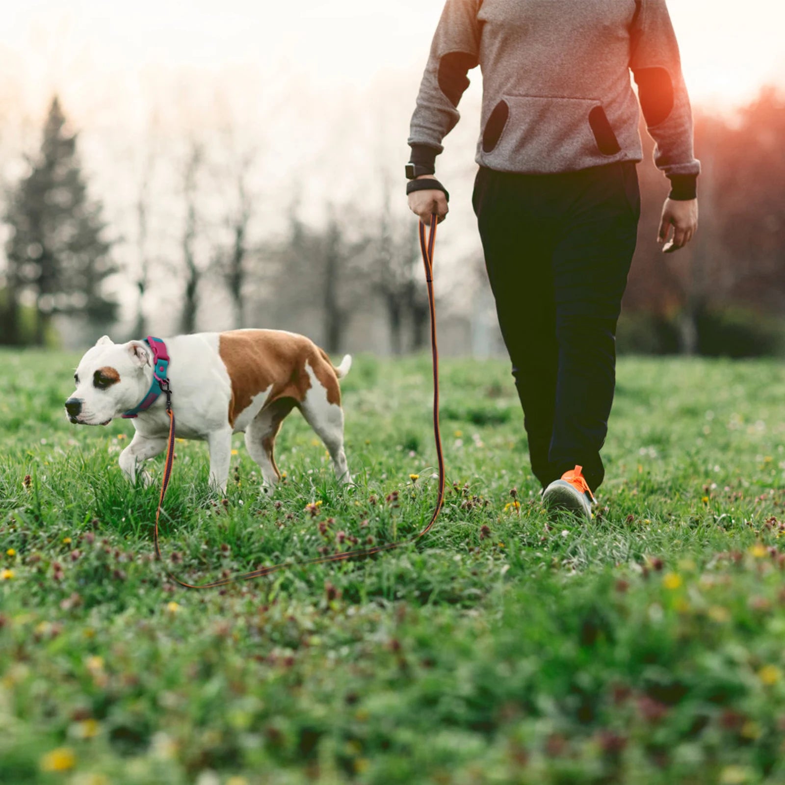 Tuigje hond met minimalistisch design – Licht en effectief