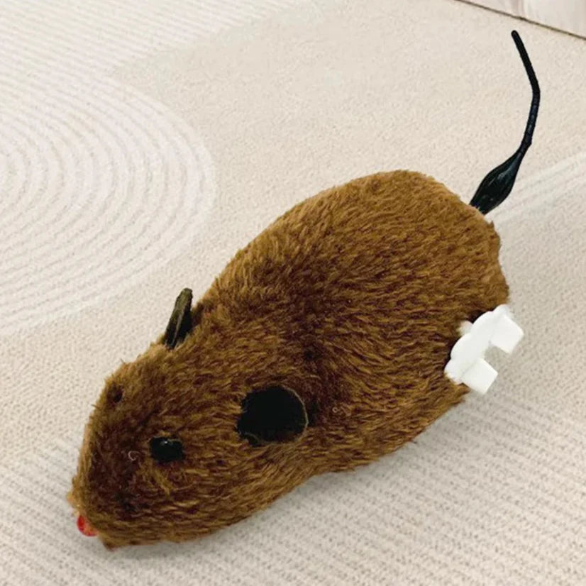Speelvis met catnip – Onweerstaanbaar