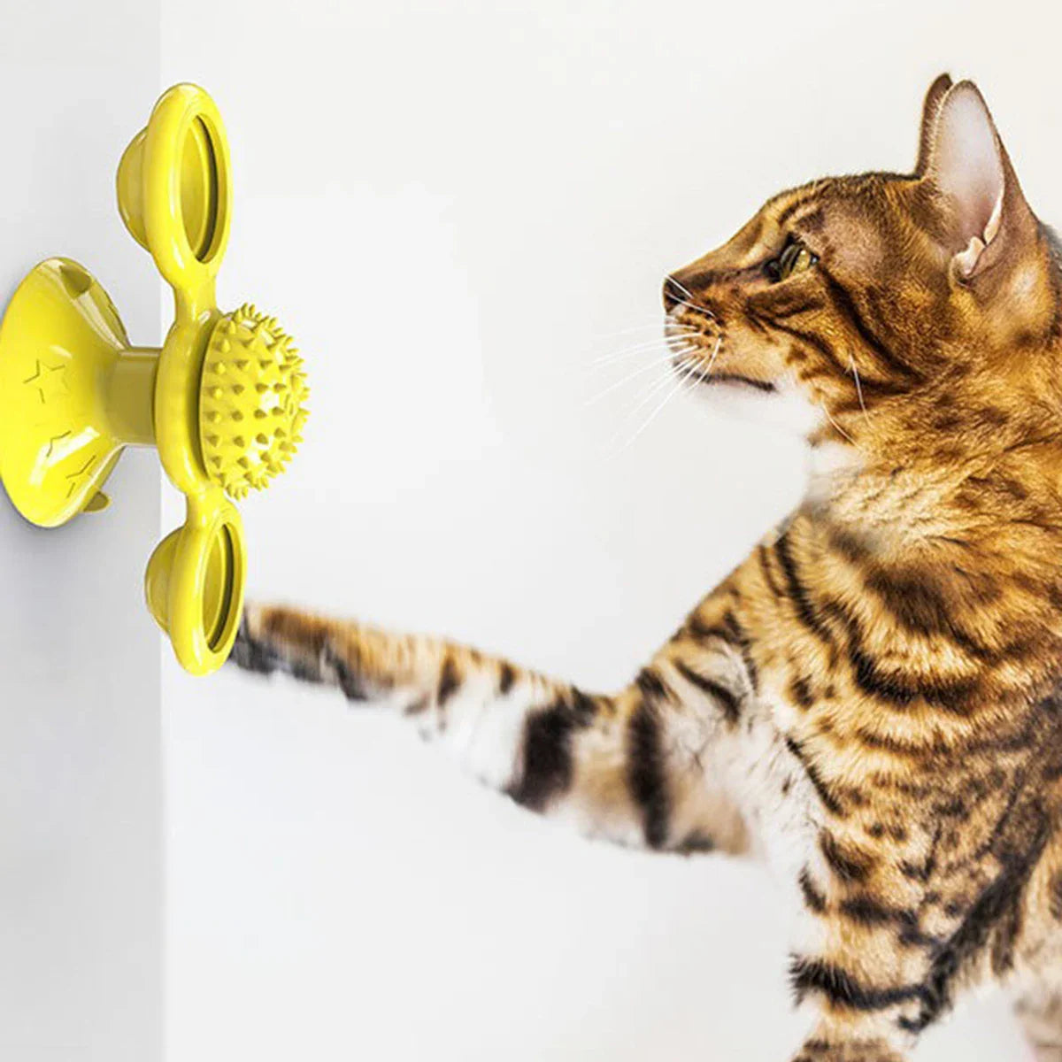 Kattenspeelgoed met rubber – Goed voor de tanden