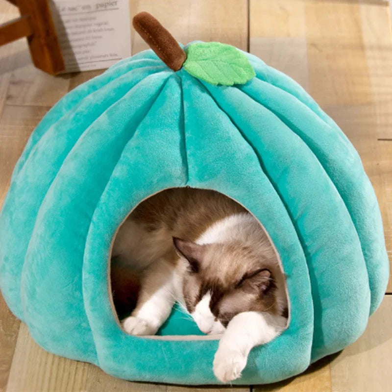 Zachte kattenmand – Voor ultiem comfort