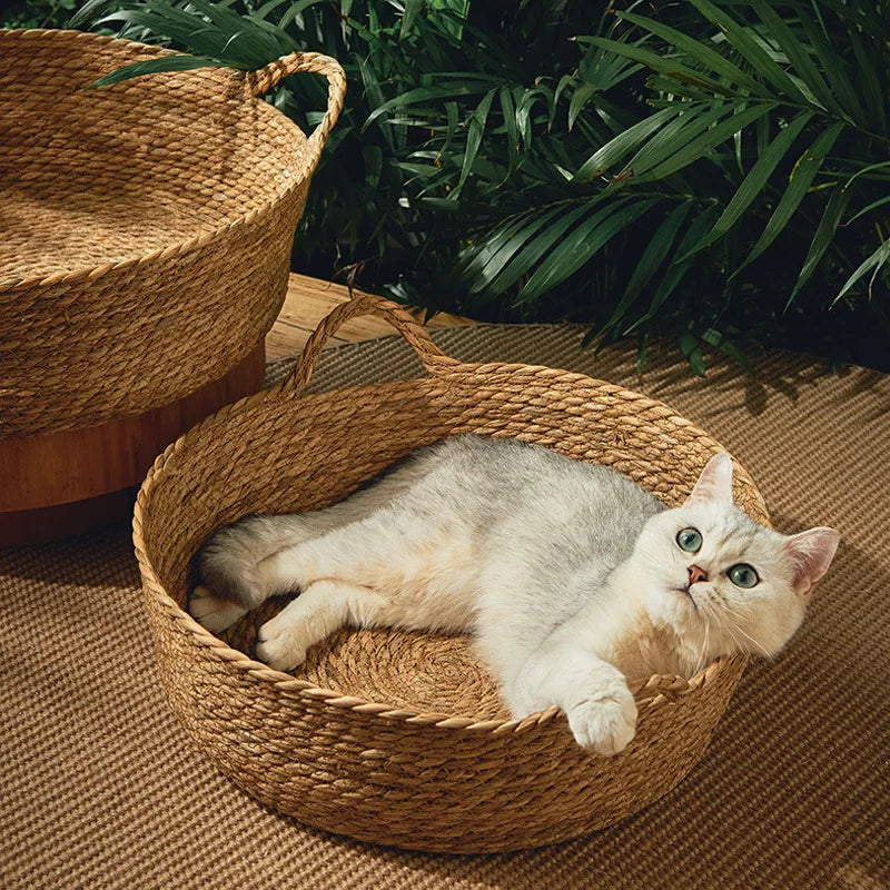 Kattenmand voor grote kat – Extra ruim ontwerp