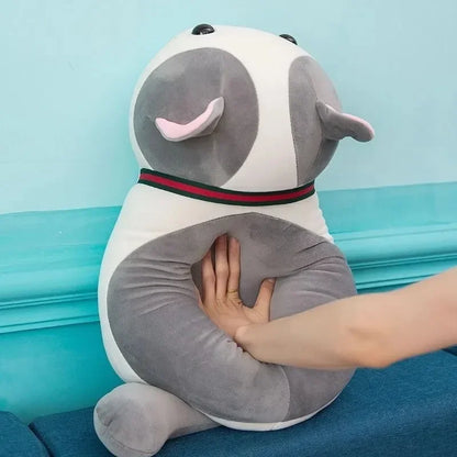 Kattenspeeltjes Action schattig en goedkoop – Perfect voor kittens