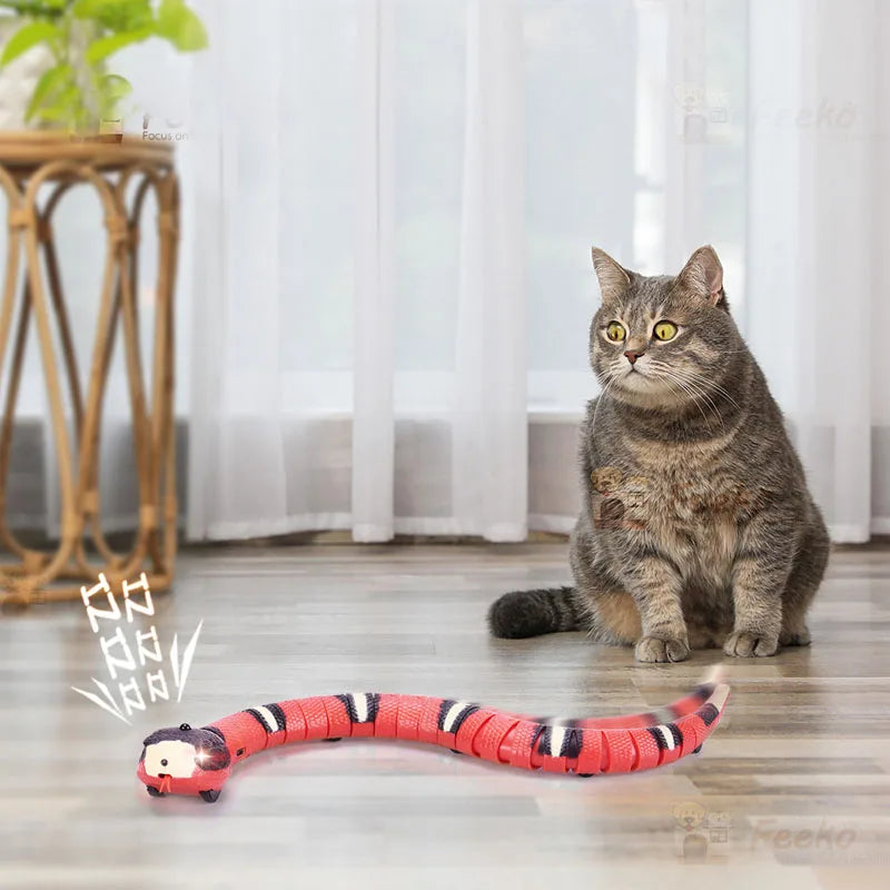 Kattenspeeltjes met elastische band – Voor extra actie