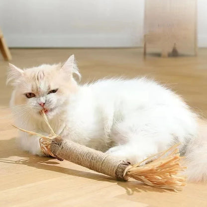 Kattenspeelgoed Action – Betaalbaar en leuk