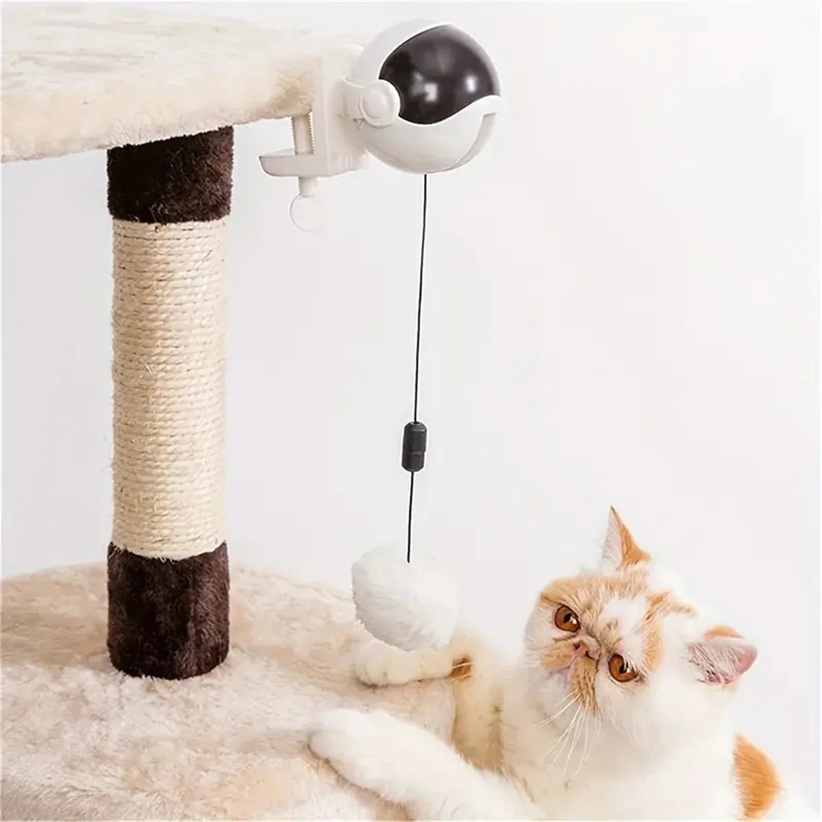 Speelvis met catnip – Onweerstaanbaar