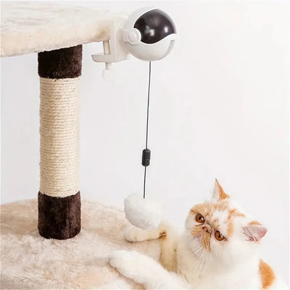 Speelvis met catnip – Onweerstaanbaar