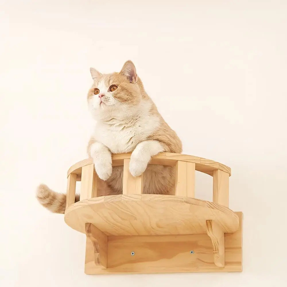 Maine Coon kattenpaal met extra ligplekken – Voor groot gemak