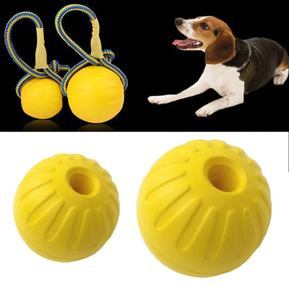 Cadeau hond – Verras je trouwe viervoeter