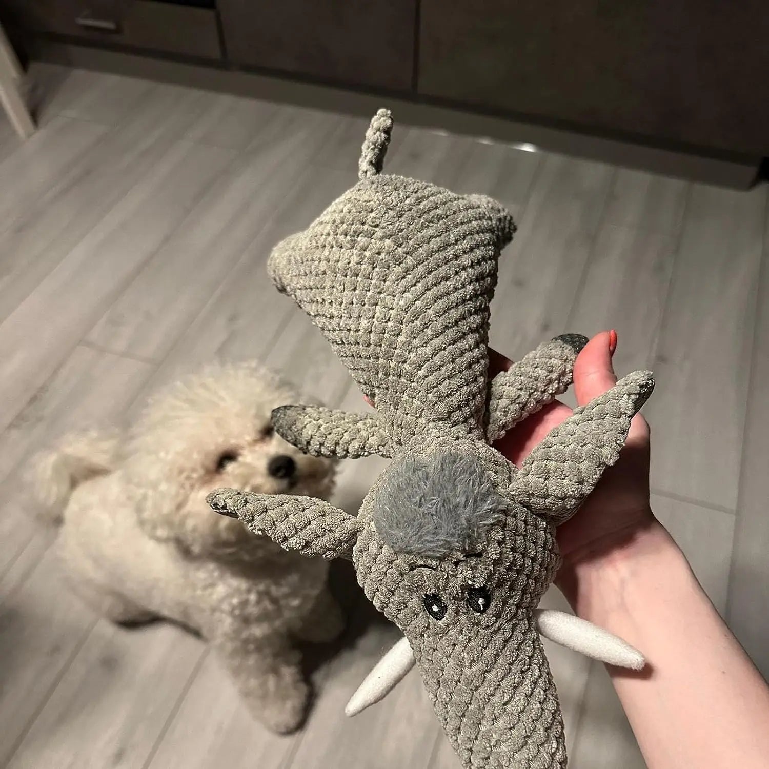 Snack cadeau voor hond verjaardag – Smakelijke verwennerij