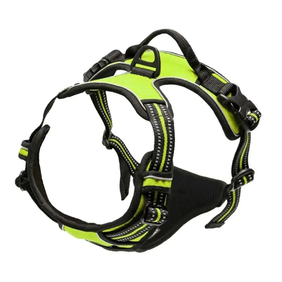 Luxe honden tuigje – Comfort en stijl gecombineerd