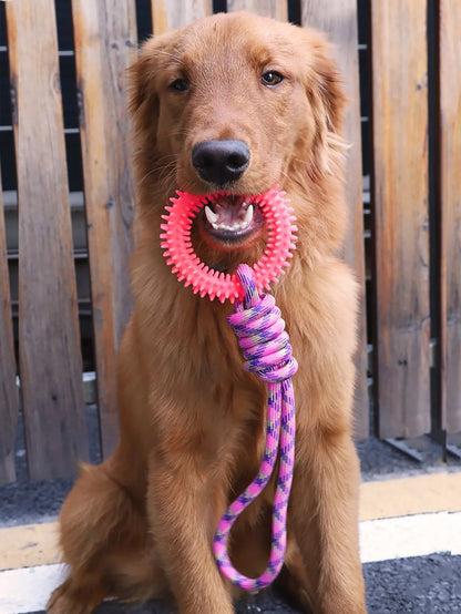 Verjaardag cadeau voor hond baas duo – Samen verwend