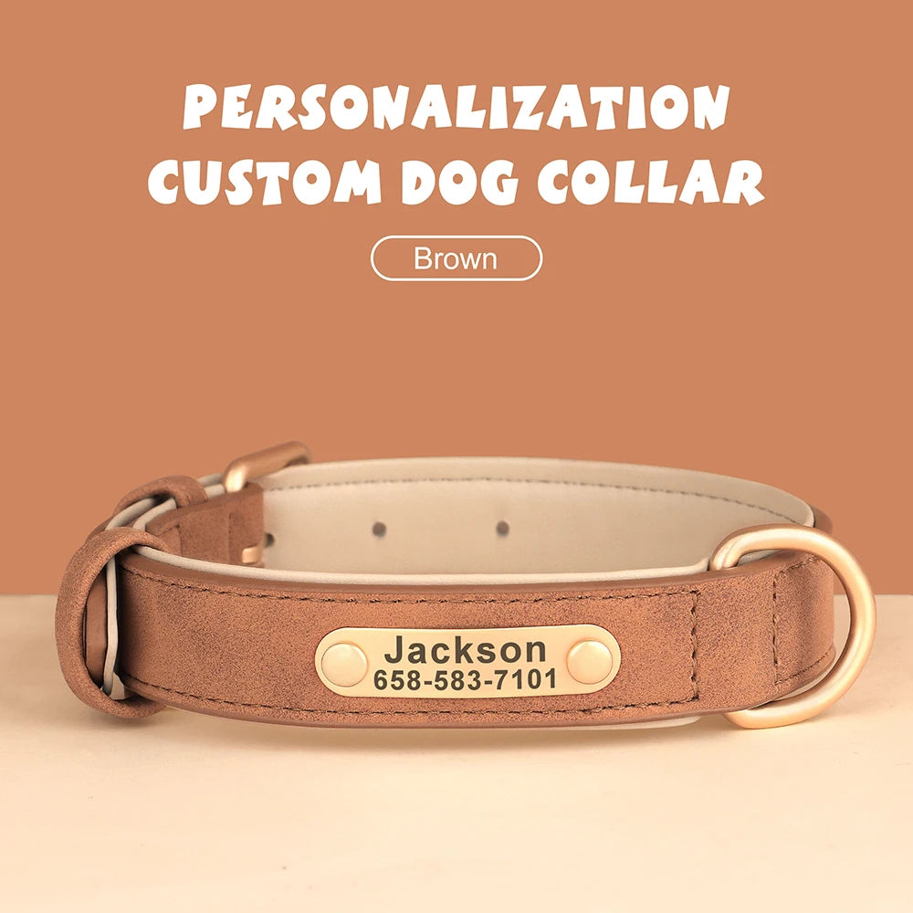 Cadeau hond met naam – Gepersonaliseerd en uniek