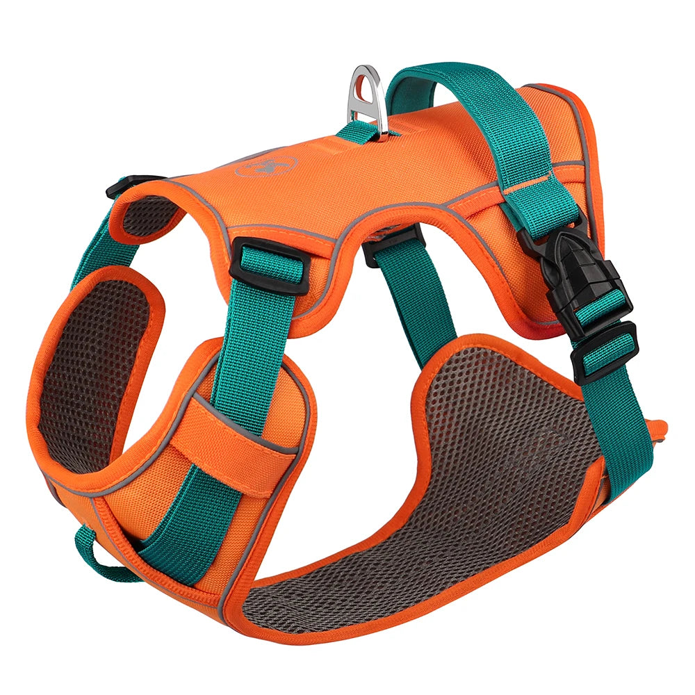 Tuigje met verstelbare rugband – Voor actieve honden
