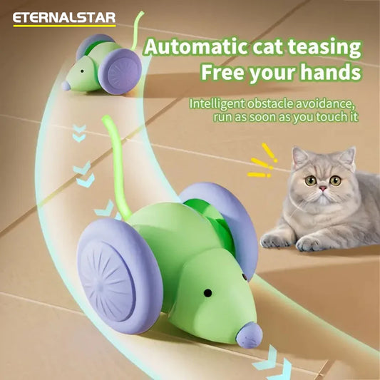 Interactieve speeltjes voor slimme katten – Voor extra uitdaging