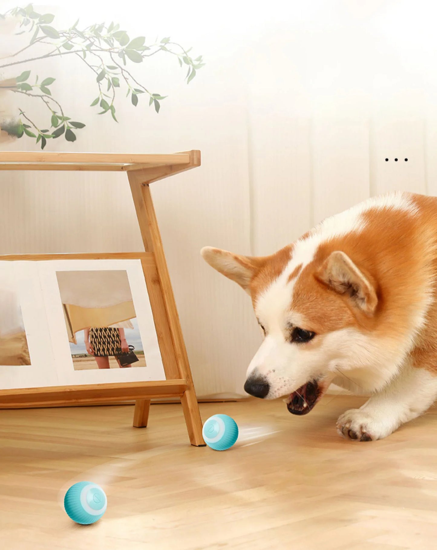Verjaardagsbox hond – Snoep, speelgoed en liefde