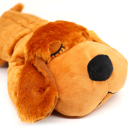 Speelbox als cadeau voor hond – Verrassend en leuk