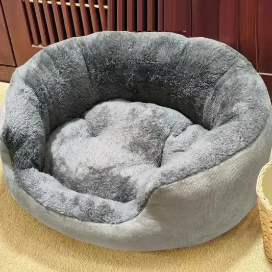 Moderne kattenmand – Past in elk interieur