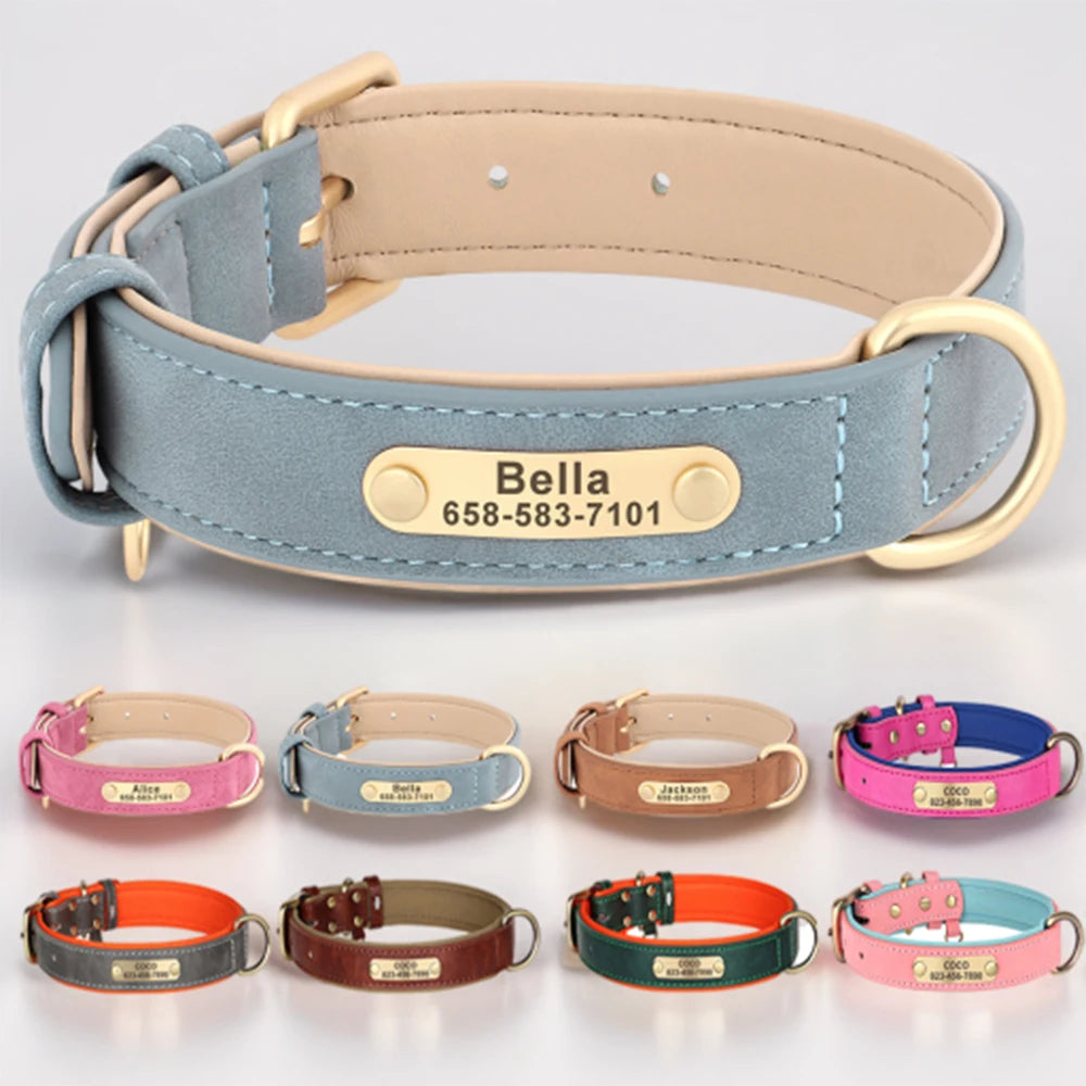 Honden traktatiebox – Cadeau met smaak