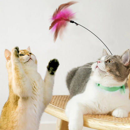 Leukste kattenspeeltje van het jaar – Getest en goedgekeurd