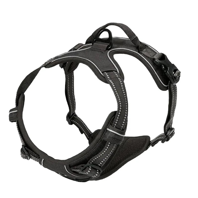 Tuigje met verstelbare rugband – Voor actieve honden