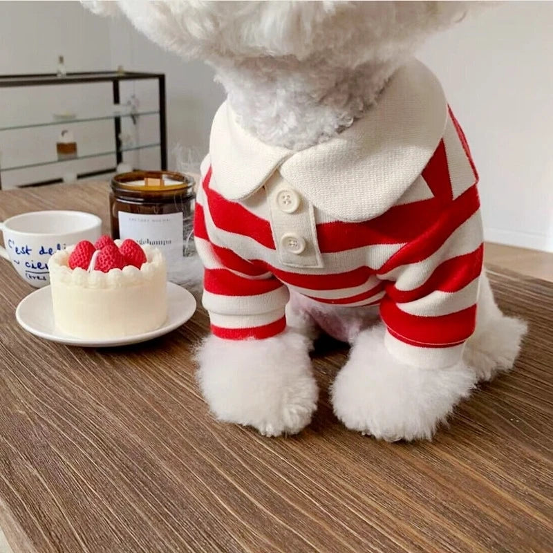 Klein cadeau hond verjaardag – Simpel en speciaal