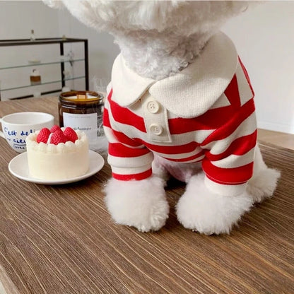 Klein cadeau hond verjaardag – Simpel en speciaal