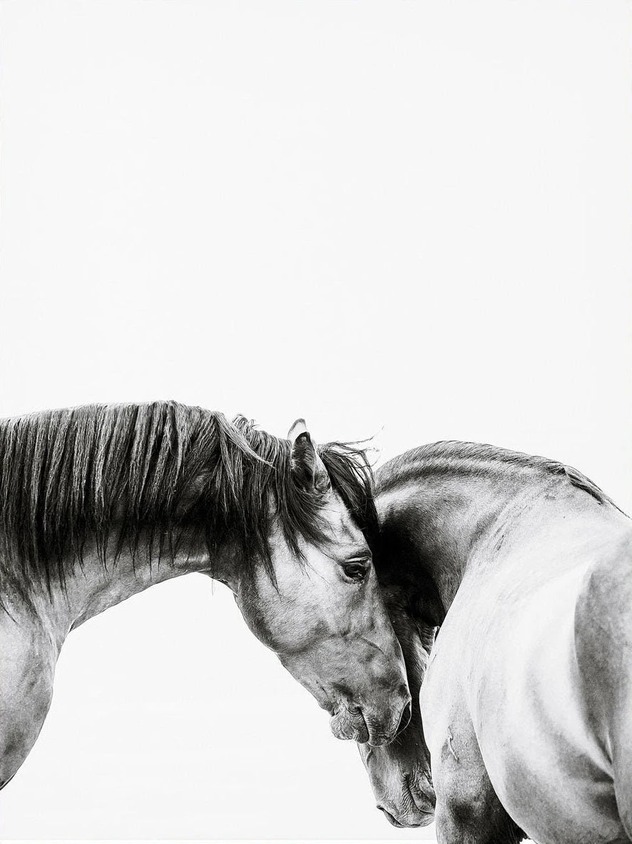 Posters – Stijlvolle wanddecoratie voor elk interieur