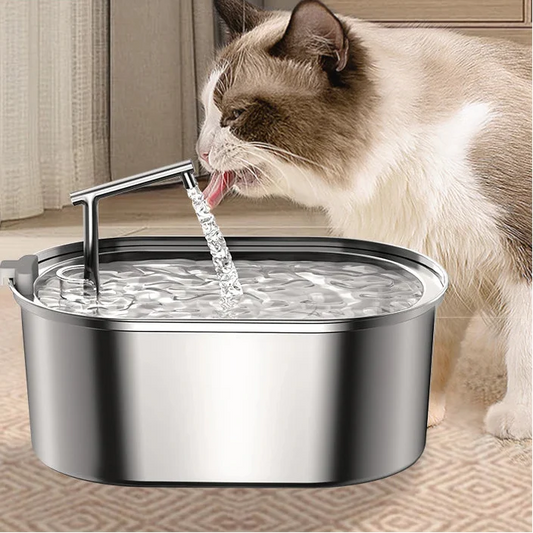 Fontein voor katten – Bevordert waterinname