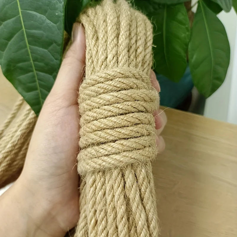 Kattenpaal – Perfect om je kat actief te houden