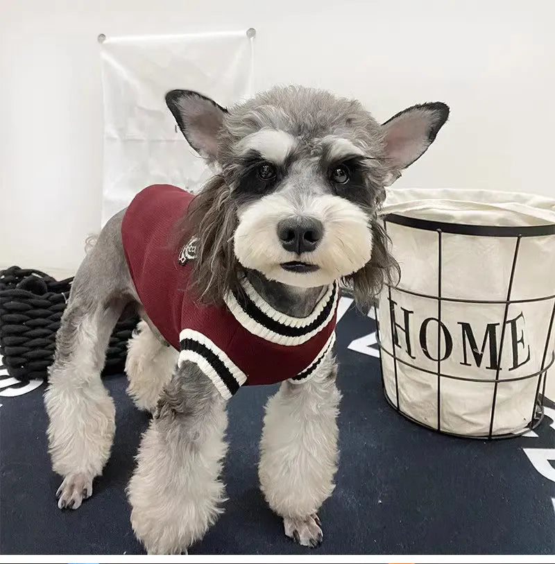 Origineel cadeau voor hond en baas – Praktisch en lief