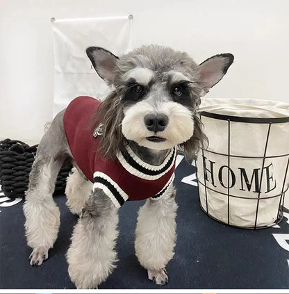 Origineel cadeau voor hond en baas – Praktisch en lief