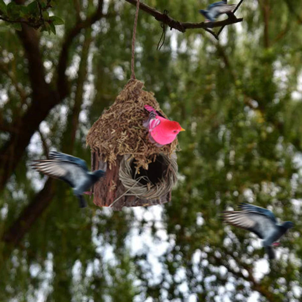Vogelhuisje kopen als cadeau – Origineel en leuk