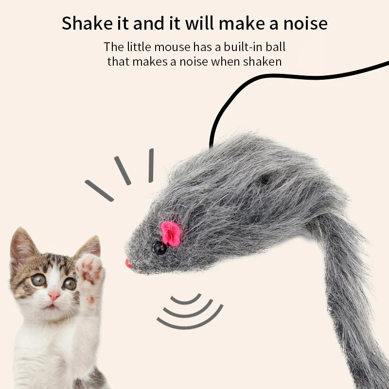 Kattenspeeltjes voor kittens – Veilig en zacht