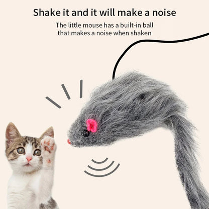Kattenspeeltjes voor kittens – Veilig en zacht