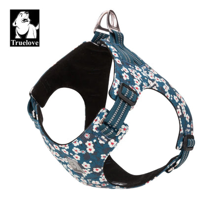 Tuigje Action maat S – Voor kleine rassen en puppy's