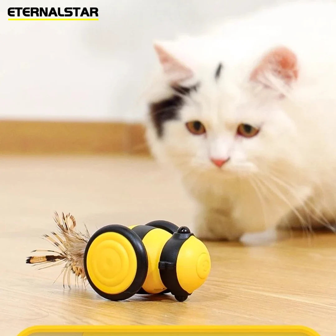 Leuk kattenspeeltje met LED – Visueel aantrekkelijk