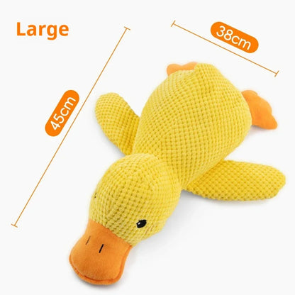 Cadeau voor hond met lekkers – Smullen gegarandeerd