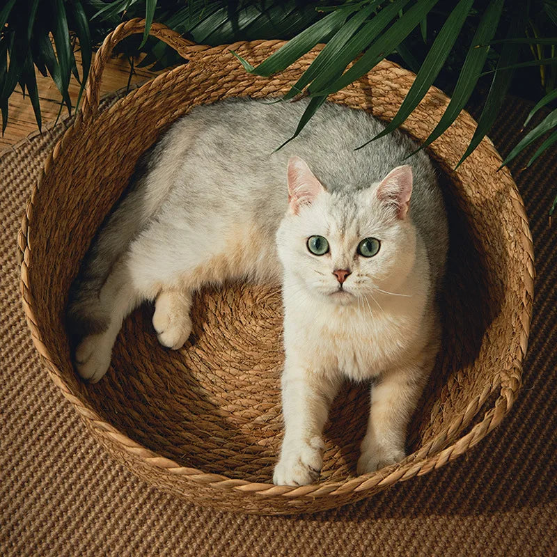 Ronde kattenmand – Veilig en geborgen gevoel