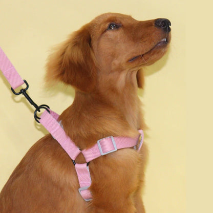 Reflecterend honden tuigje – Voor zichtbaarheid in het donker