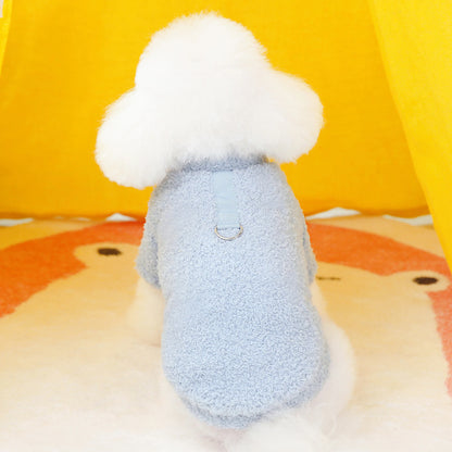 Cadeautip hond – Iets leuks voor elke pup